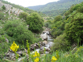 Tourism in the village